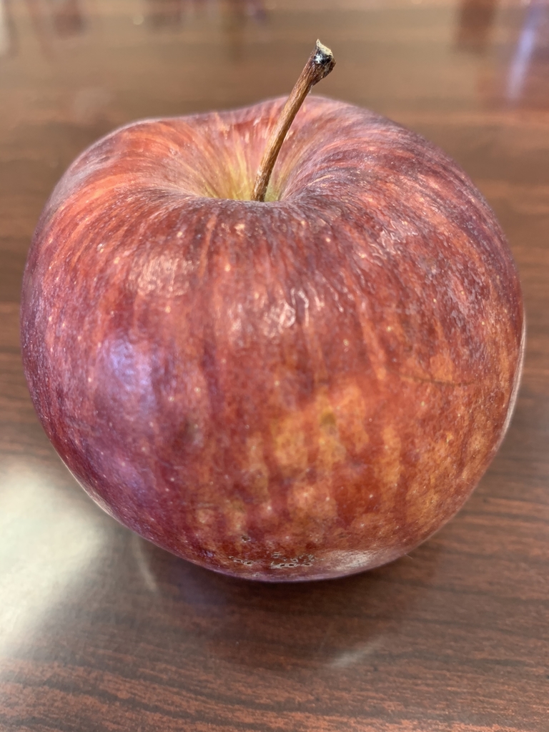 School lunch apple